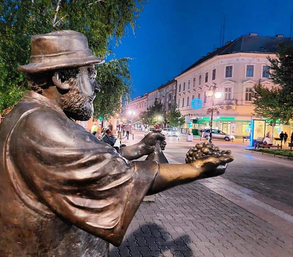 Hulk Apartment Vrsac Luaran gambar